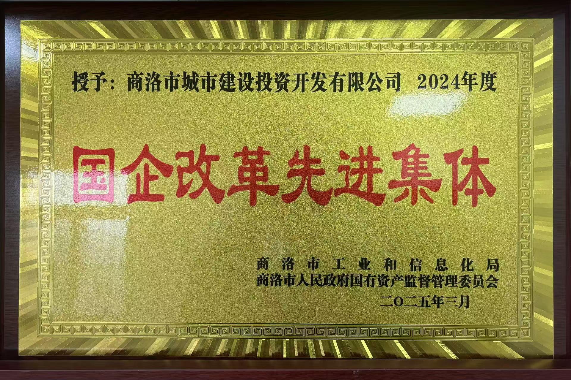 2024年度國(guó)企改革先進(jìn)集體
